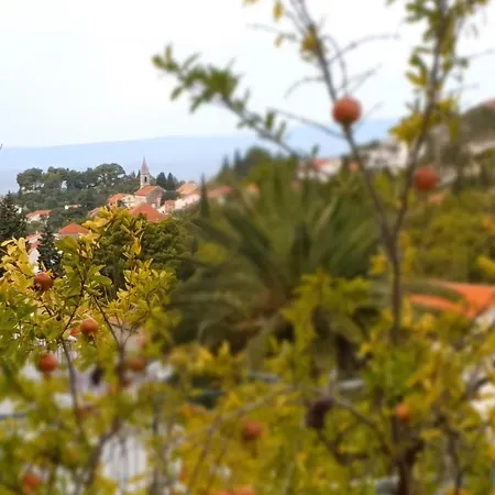 Apartment Apartman Luan Trpanj